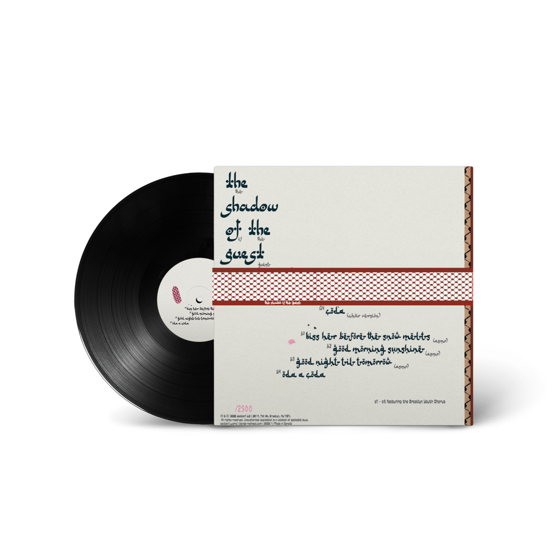 Blonde Redhead - The Shadow of the Guest LP